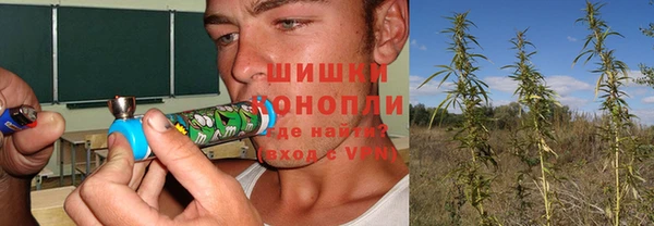 гидра Алексин